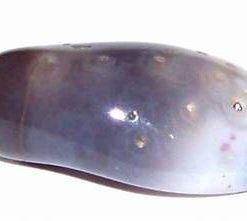 Pandantiv - felie de agat in montura din metal nobil