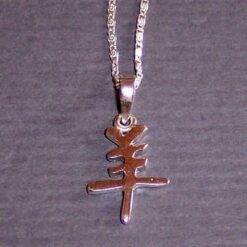 Talisman de protectie cu Zodia Cal - unicat !