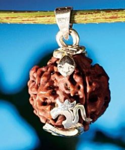 Bratara din Rudraksha, pe elastic -