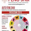 Universul Feng Shui Nr. 6 - PDF