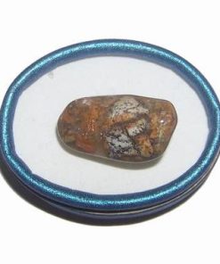 Amuleta Feng Shui din cristal pentru zodia Cocos