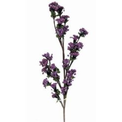 Floarea evolutiei spirituale, a clarviziunii