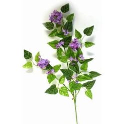 Liliacul frumusetii si armoniei