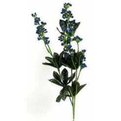 Valurile Fericirii - 68 cm