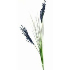 Floarea celebritatii, gloriei si faimei - 95 cm