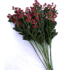 Florile rosii /visiniu ale iubirii - 11 fire