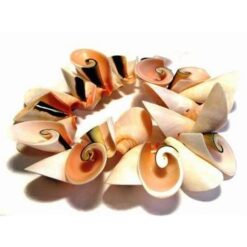 Bratara din scoici pe elastic - model deosebit