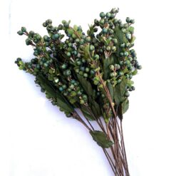 Floarea potentei buchet 15 fire