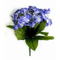 Florile sanatatii - remediu pentru o viata lunga