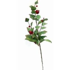 Crenguta cu fructe - rodii - 70 cm