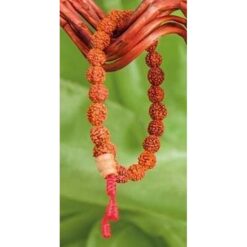 Bratara Mala cu Rudraksha
