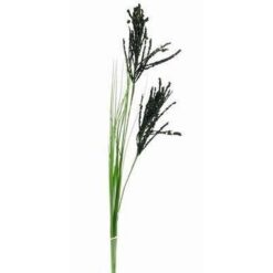 Floarea succesului profesional - 95 cm