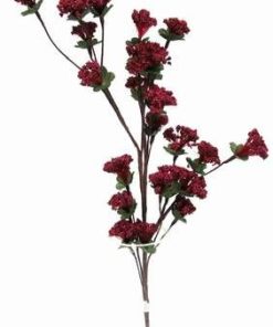 Florile rosii ale iubirii