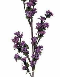 Floarea evolutiei spirituale, a clarviziunii