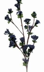 Floarea sanatatii de culoare albastra