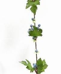 Floarea banilor neasteptati - 82 cm