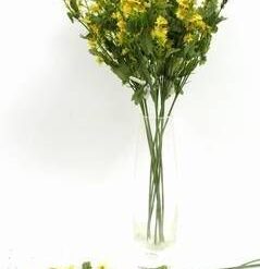 Floarea succesului profesional - 9 fire