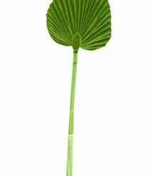 Floarea norocului pentru femei - 57 cm - 11 fire