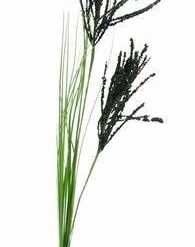 Floarea succesului profesional - 95 cm