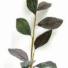 Frunza de magnolie - 85 cm