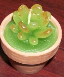 Lumanare parfumata cu aroma de mar verde