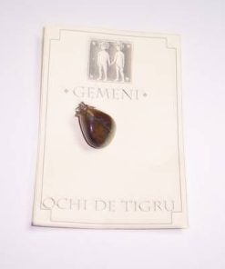 Pandantiv din ochi de tigru pe siret negru, cerat
