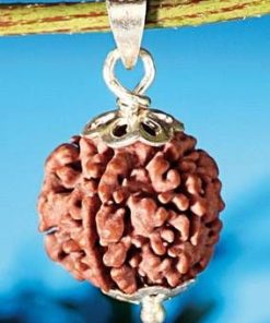 Bratara din Rudraksha, pe elastic si cristal de malachit