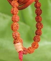 Bratara cu Rudraksha si Ochiul lui Horus