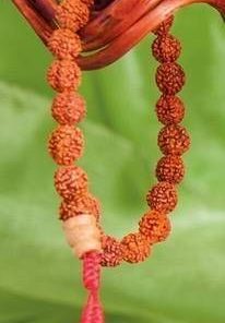 Bratara din Rudraksha, pe elastic, cu onix