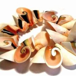 Bratara din scoici pe elastic - model deosebit