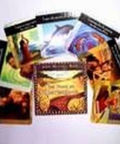 set tarot Vocea cunoasterii