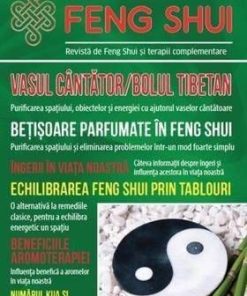 Universul Feng Shui Nr. 1 - PDF